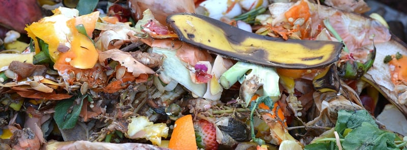 Compost Bins