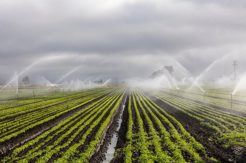 Drip Irrigation Systems