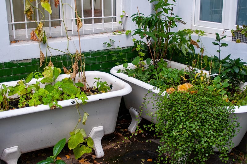 Bathtub Pond