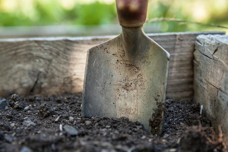 High-Quality Soil